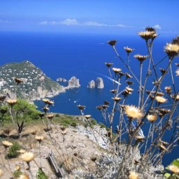 Capri day trip