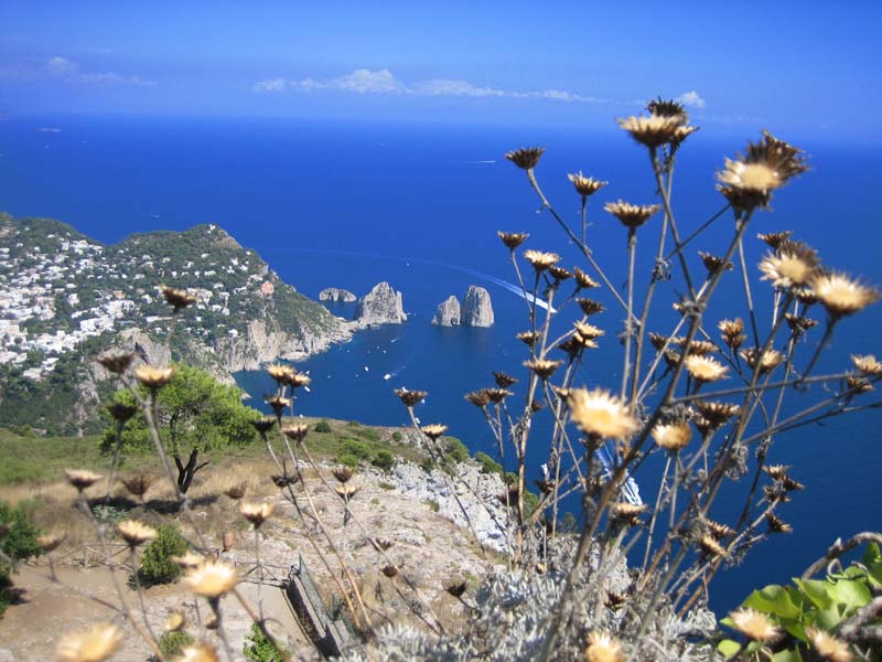 Capri day trip