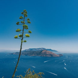 Capri boat excursion