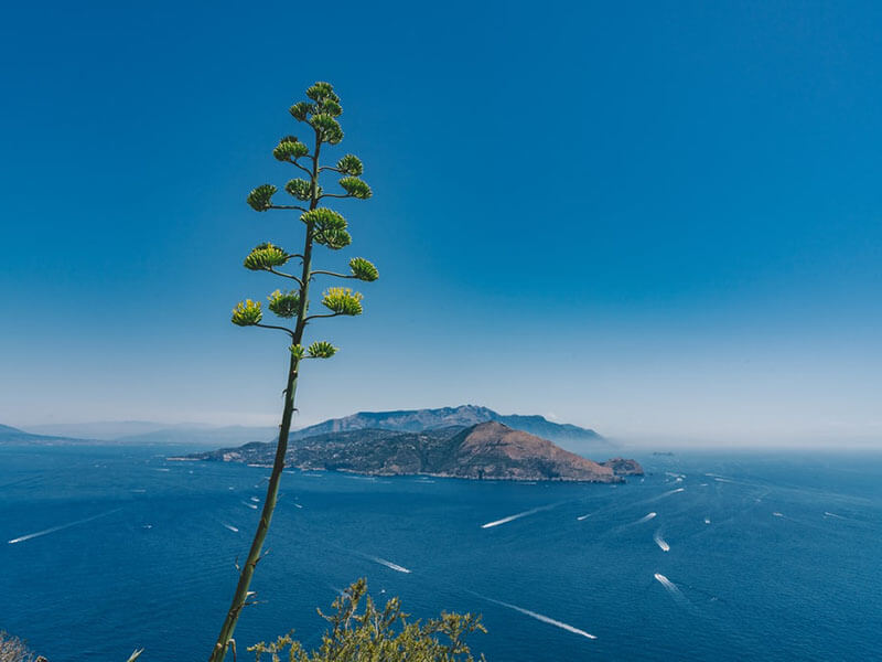 Capri boat excursion