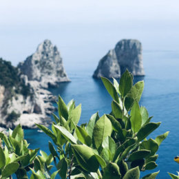 Naples boat trip to capri